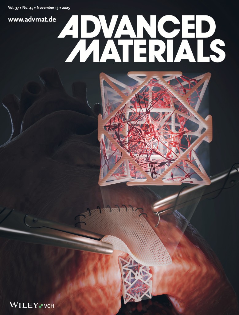 Advanced Materials Cover Art